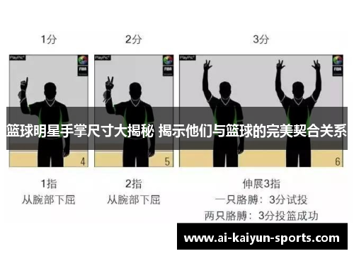 篮球明星手掌尺寸大揭秘 揭示他们与篮球的完美契合关系